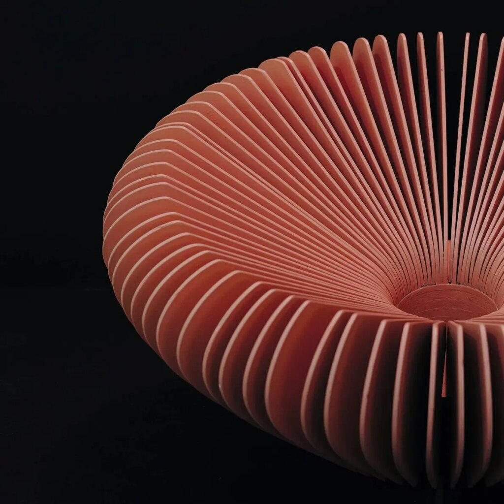 pexels-photo-10559088